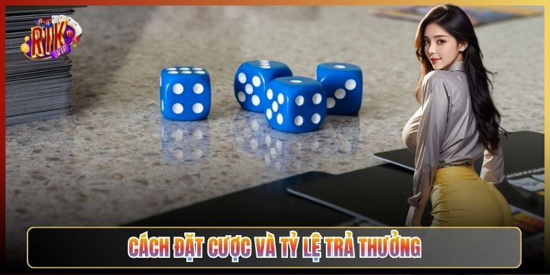 Cách Đặt Cược Và Tỷ Lệ Trả Thưởng