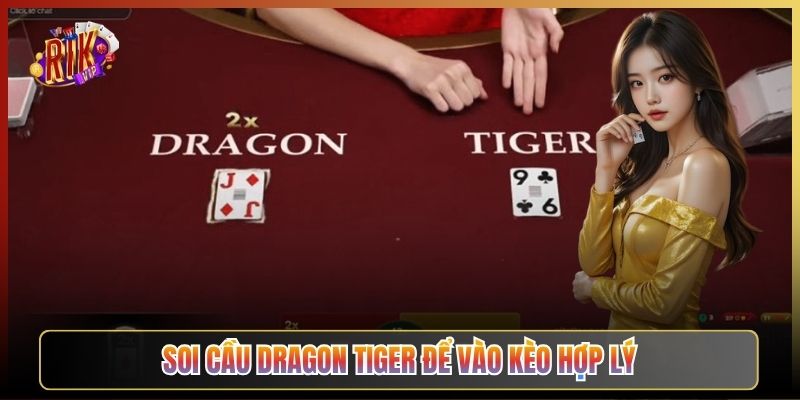 Soi Cầu Dragon Tiger Để Vào Kèo Hợp Lý