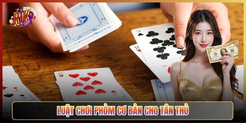 Luật Chơi Phỏm Cơ Bản Cho Tân Thủ