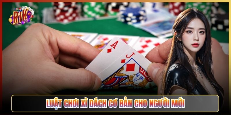 Luật Chơi Xì Dách Cơ Bản Cho Người Mới