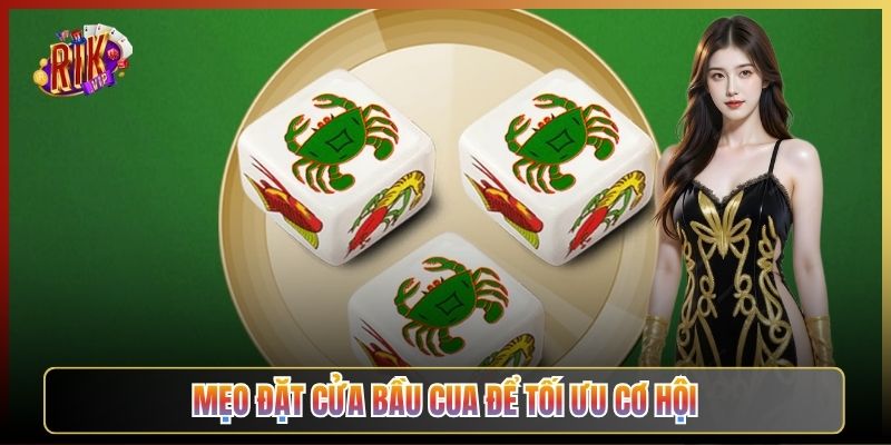 Mẹo Đặt Cửa Bầu Cua Để Tối Ưu Cơ Hội