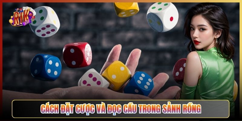 Cách Đặt Cược Và Đọc Cầu Trong Sảnh Rồng