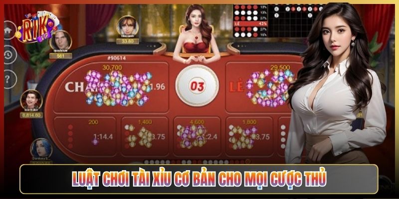 Luật Chơi Tài Xỉu Cơ Bản Cho Mọi Cược Thủ