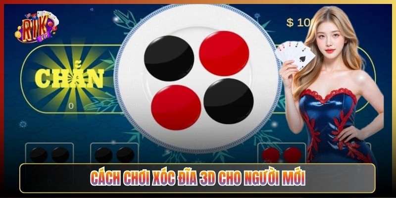 Cách Chơi Xóc Đĩa 3D Cho Người Mới