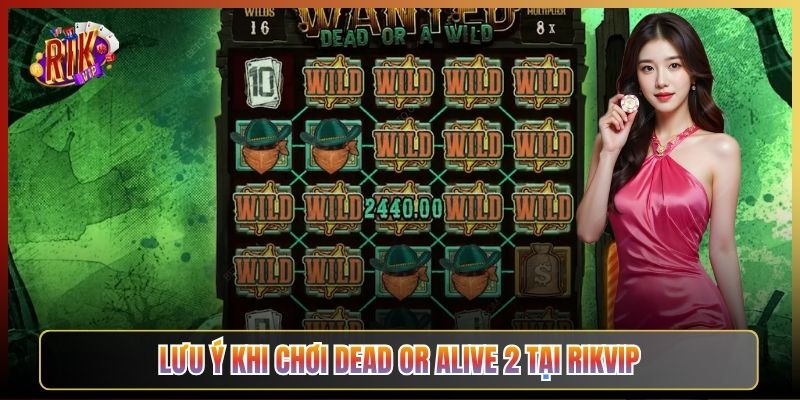 Lưu Ý Khi Chơi Dead Or Alive 2 Tại Rikvip